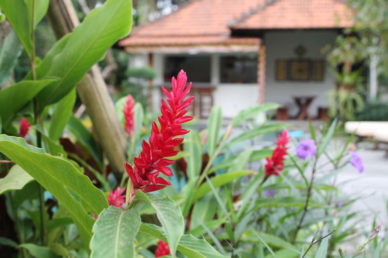 Villa Sindu Ubud Luaran gambar