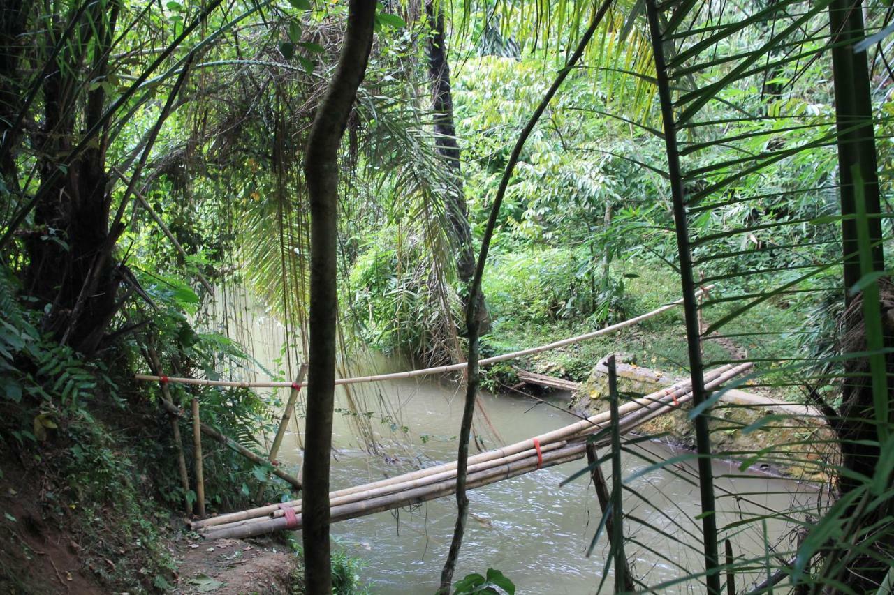 Villa Sindu Ubud Luaran gambar