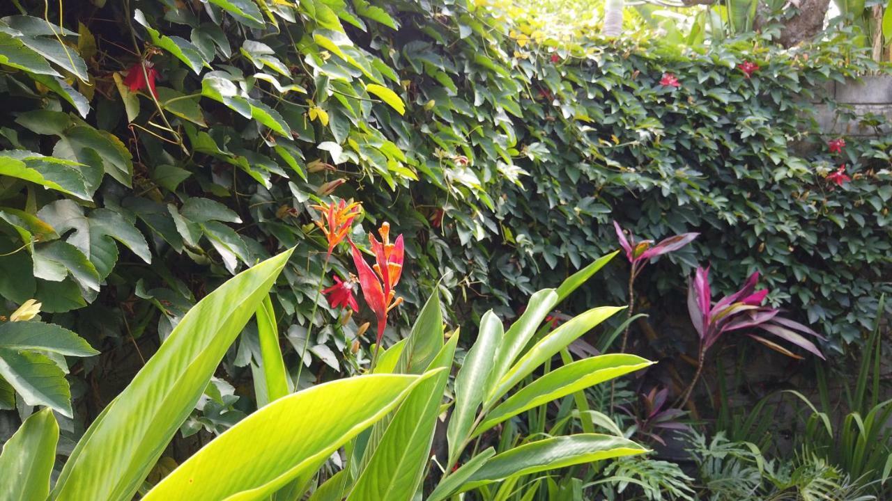 Villa Sindu Ubud Luaran gambar